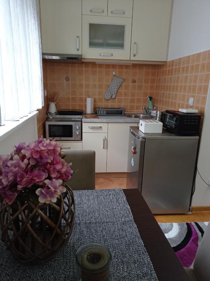 Apartman Harmonija Vrnjačka Banja 外观 照片