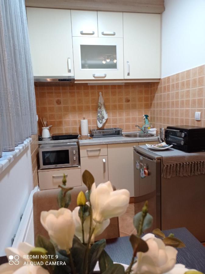 Apartman Harmonija Vrnjačka Banja 外观 照片