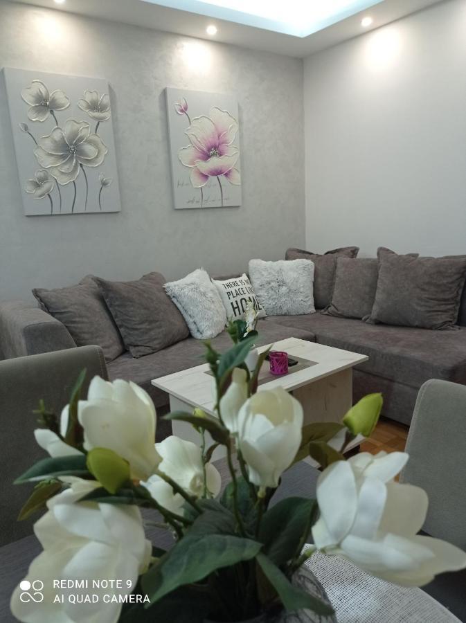 Apartman Harmonija Vrnjačka Banja 外观 照片
