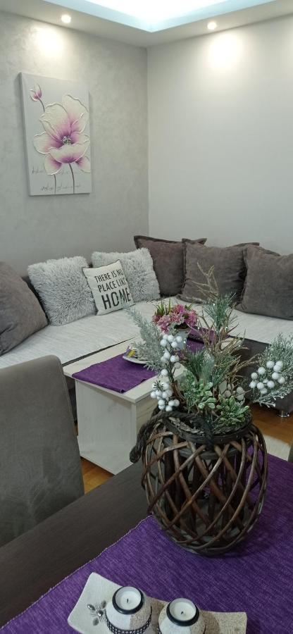 Apartman Harmonija Vrnjačka Banja 外观 照片