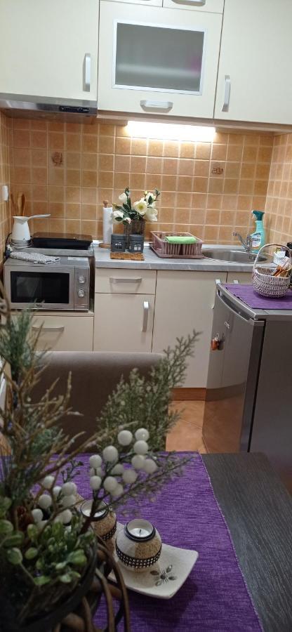 Apartman Harmonija Vrnjačka Banja 外观 照片