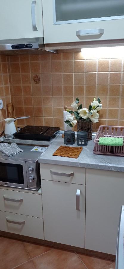 Apartman Harmonija Vrnjačka Banja 外观 照片