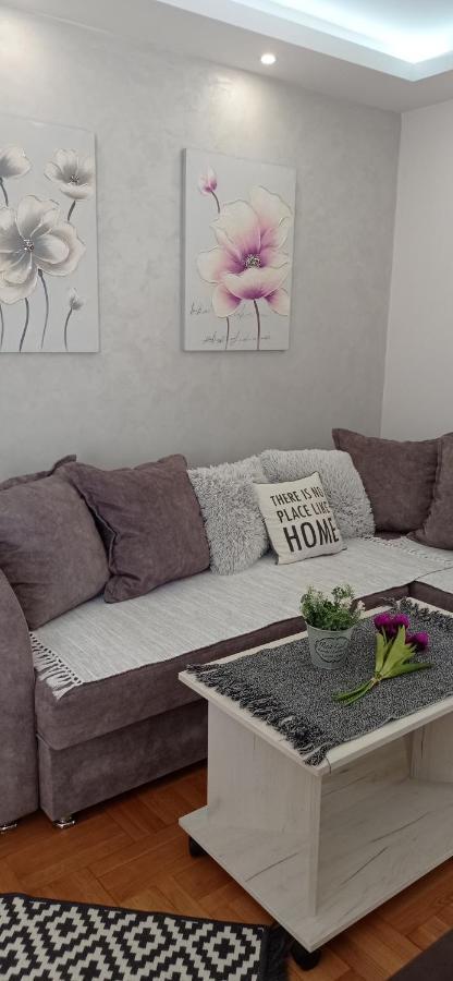 Apartman Harmonija Vrnjačka Banja 外观 照片