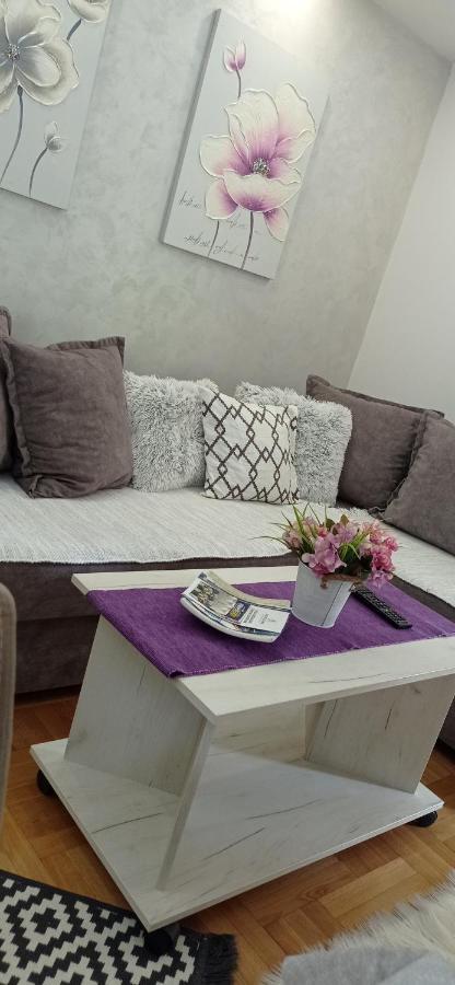 Apartman Harmonija Vrnjačka Banja 外观 照片