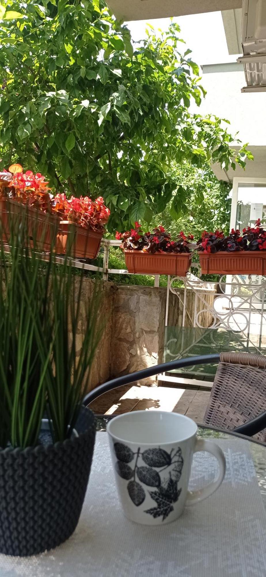Apartman Harmonija Vrnjačka Banja 外观 照片